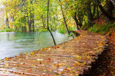 plitvice gölleri Milli Parkı içinde ahşap turist yolu