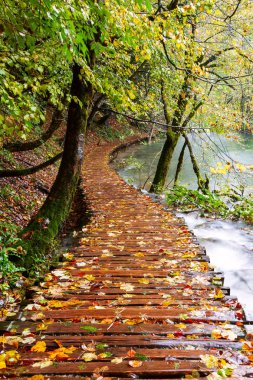 plitvice gölleri Milli Parkı içinde ahşap turist yolu