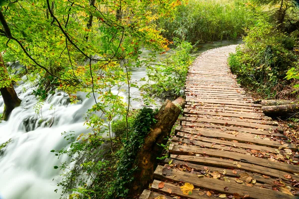 Percorso turistico in legno nel parco nazionale dei laghi di Plitvice — Foto Stock