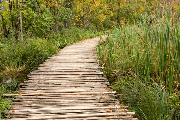 Percorso turistico in legno nel parco nazionale dei laghi di Plitvice — Foto Stock