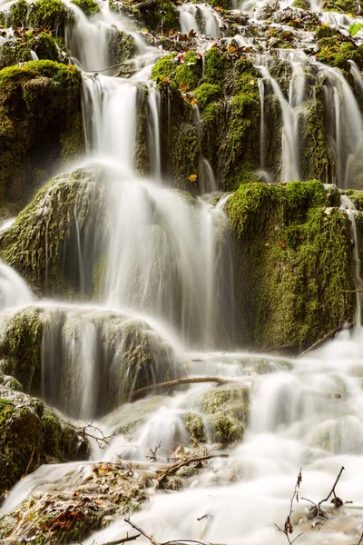 Cascade en forêt profonde dans le parc national de Plitvice — Photo