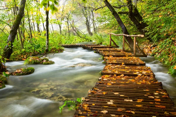 Wooden tourist path in Plitvice lakes national park — Stock Photo, Image