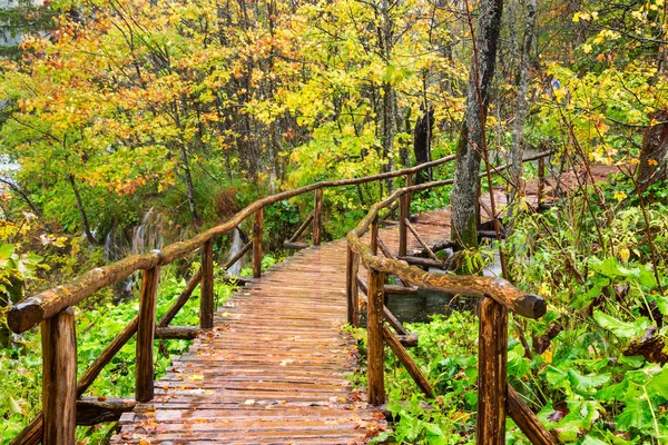 Percorso turistico in legno nel parco nazionale dei laghi di Plitvice — Foto Stock