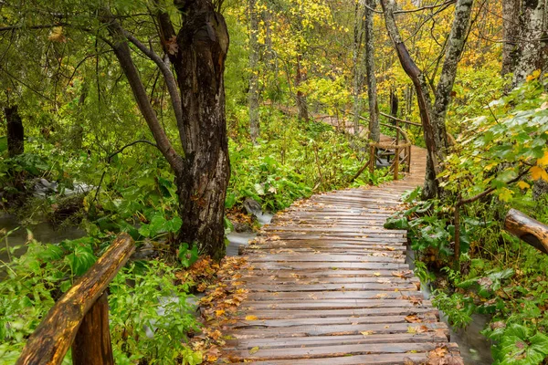 Percorso turistico in legno nel parco nazionale dei laghi di Plitvice — Foto Stock