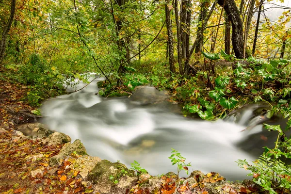 Cachoeira em floresta profunda no parque nacional de Plitvice — Fotografia de Stock