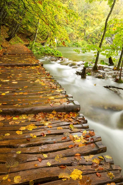 Holzpfad im Nationalpark Plitvicer Seen — Stockfoto