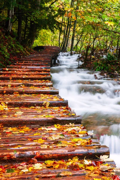 Ruta turística de madera en el parque nacional de los lagos de Plitvice — Foto de Stock