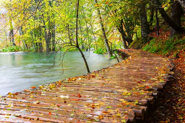 Ruta turística de madera en el parque nacional de los lagos de Plitvice — Foto de Stock