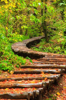 Yağmurlu bir gün ve ahşap turist yolu Plitvice 