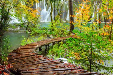 plitvice gölleri Milli Parkı içinde ahşap turist yolu