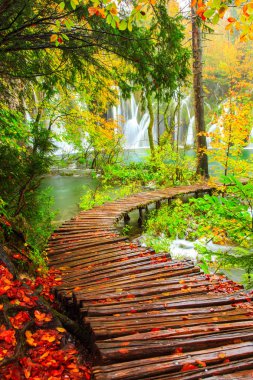 plitvice gölleri Milli Parkı içinde ahşap turist yolu