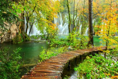 Wooden tourist path in Plitvice lakes national park clipart