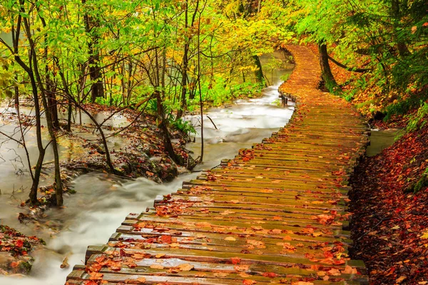 Día lluvioso y camino turístico de madera en Plitvice — Foto de Stock