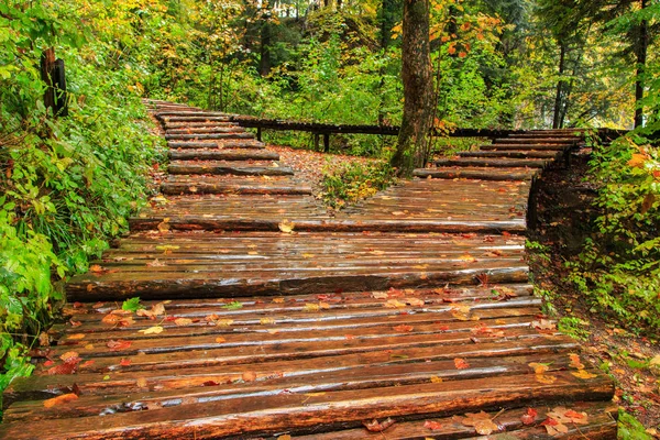 Giornata piovosa e percorso turistico in legno a Plitvice — Foto Stock