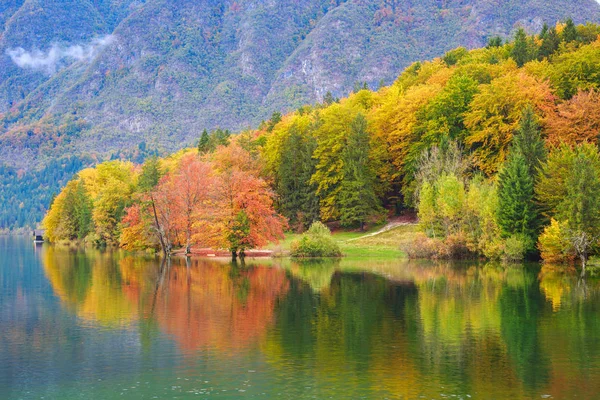 Schöne Herbstkulisse am Bohinjer See. — Stockfoto