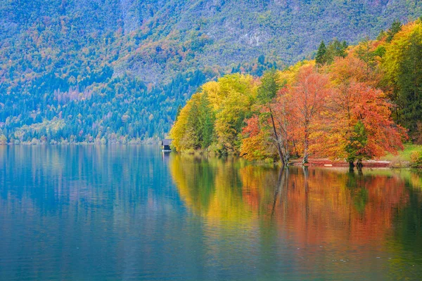 Schöne Herbstkulisse am Bohinjer See. — Stockfoto