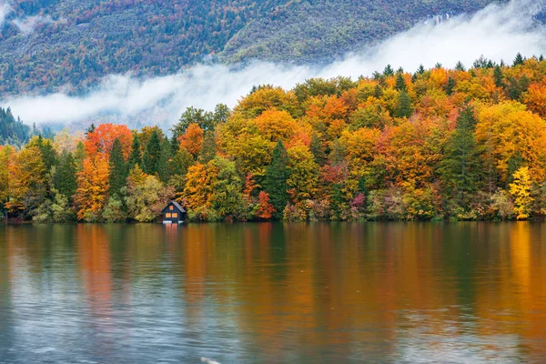 Beautiful autumn scenery at lake Bohinj. — Stock Photo, Image