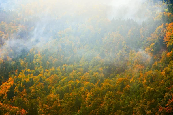 Paisagem fantástica de floresta de montanha em nuvens, neblina ou névoa — Fotografia de Stock