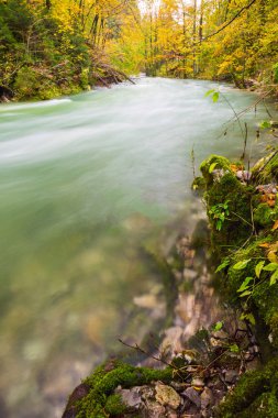 Güzel Vintgar Gorge yakınındaki Bled, Slovenya