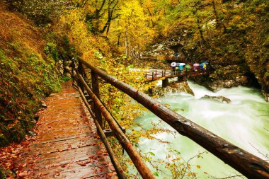 Vintgar gorge ve Bled yakınındaki ahşap yolu