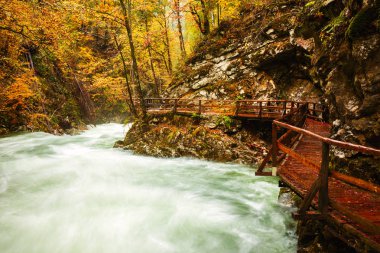 Vintgar gorge ve Bled yakınındaki ahşap yolu