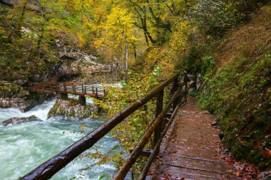 Vintgar gorge ve Bled yakınındaki ahşap yolu