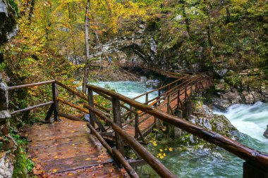 Vintgar gorge ve Bled yakınındaki ahşap yolu