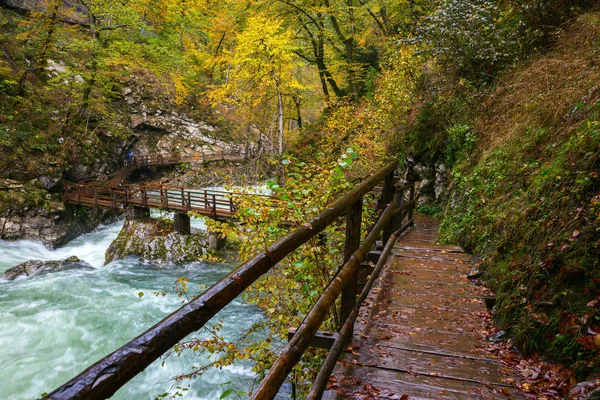 布莱德市附近的木栈道和 Vintgar 峡谷 — 图库照片