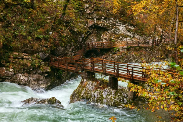 Vintgar gorge and wooden path near Bled — Stock Photo, Image