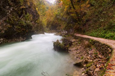 Vintgar gorge ve Bled yakınındaki ahşap yolu