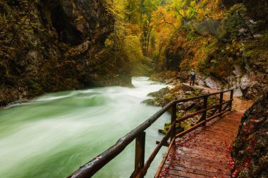 Vintgar gorge ve Bled yakınındaki ahşap yolu
