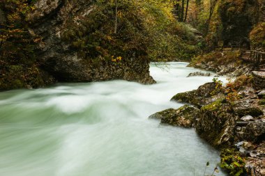Güzel Vintgar Gorge yakınındaki Bled, Slovenya