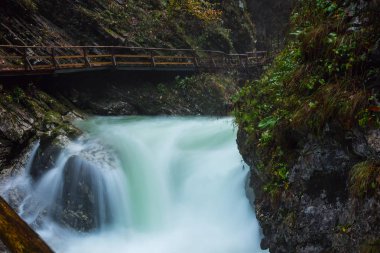 Vintgar gorge ve Bled yakınındaki ahşap yolu