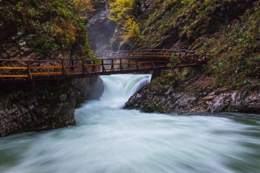 Vintgar gorge ve Bled yakınındaki ahşap yolu