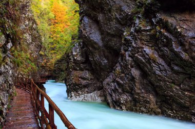 Vintgar gorge ve Bled yakınındaki ahşap yolu