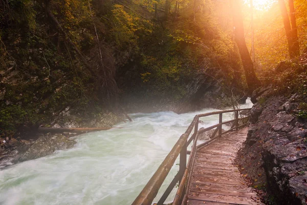 Vintgar gorge en houten pad in de buurt van Bled — Stockfoto