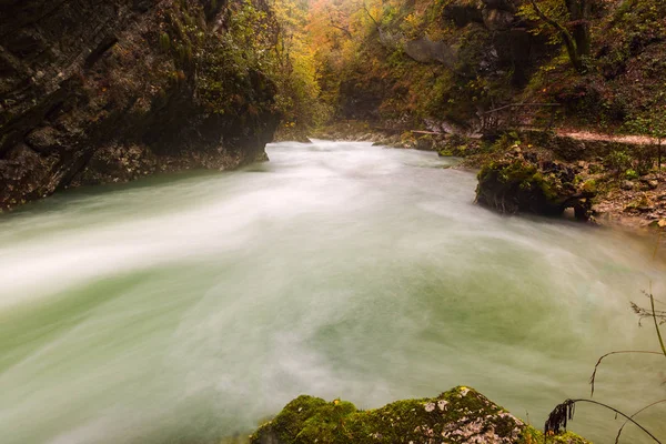 在斯洛文尼亚布莱德附近的美丽 Vintgar 峡谷。 — 图库照片