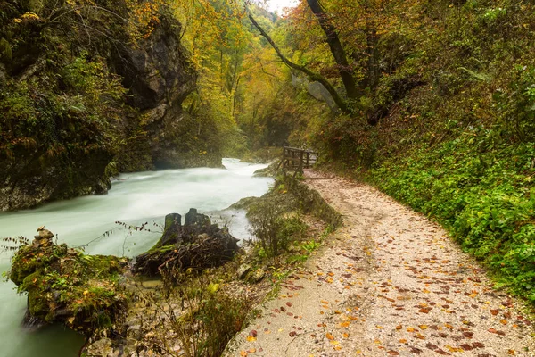 Lindo desfiladeiro Vintgar perto de Bled, Eslovénia — Fotografia de Stock