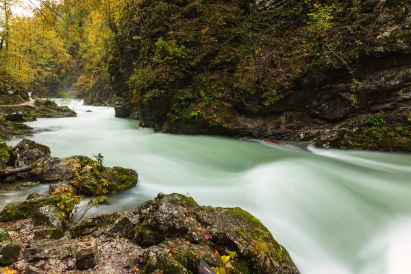 Hermosa garganta de Vintgar cerca de Bled, Eslovenia — Foto de Stock