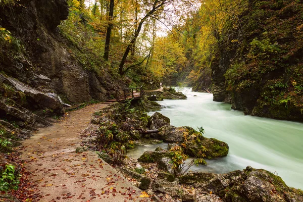 Gorge du Vintgar et sentier en bois près de Bled — Photo