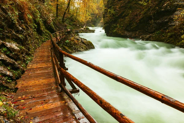 Gorge du Vintgar et sentier en bois près de Bled — Photo