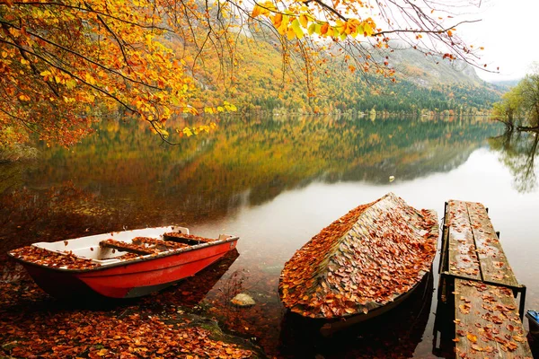 Beautiful autumn scenery at lake Bohinj — Stock Photo, Image