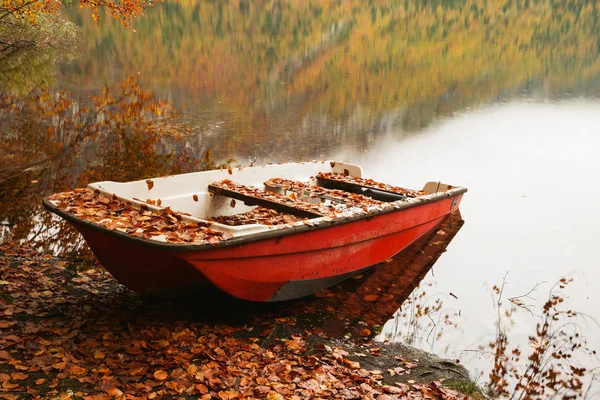 Krásné podzimní scenérie u jezera Bohinj — Stock fotografie