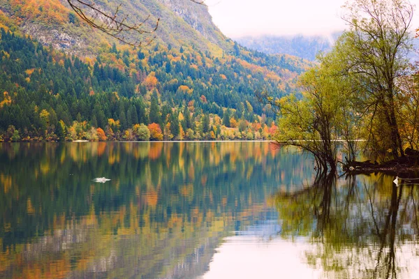 Hermoso paisaje de otoño en el lago Bohinj — Foto de Stock