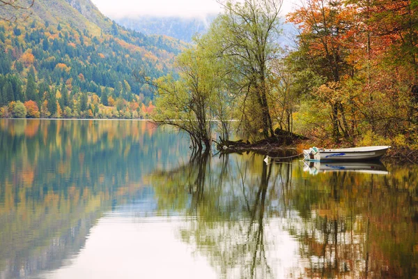 Piękne dekoracje jesień Jezioro Bohinj — Zdjęcie stockowe