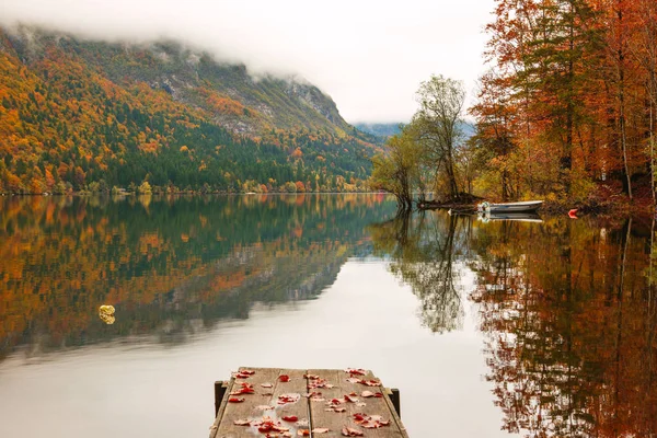 Bela paisagem de outono no lago Bohinj — Fotografia de Stock