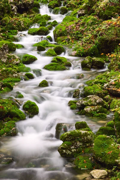 Uitzicht op een prachtige herfst kreek in de buurt van Bohinj — Stockfoto