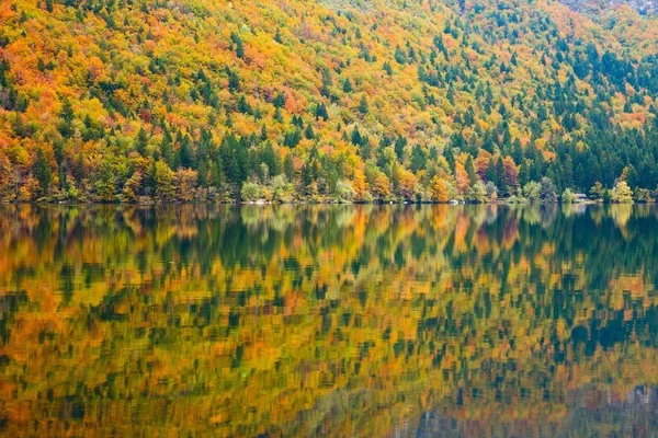 Beautiful autumn scenery at lake Bohinj — Stock Photo, Image