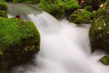 Güzel bir sonbahar dere Bohinj yakınındaki görünümü