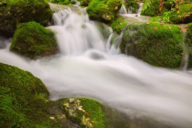 Güzel bir sonbahar dere Bohinj yakınındaki görünümü